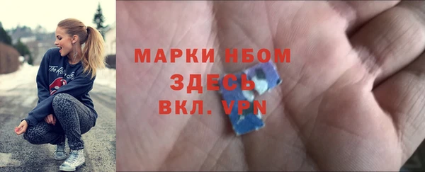 сатива Богородицк