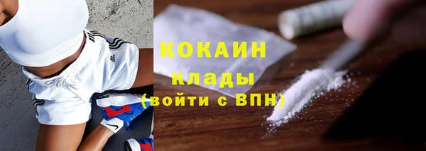 амф Богданович