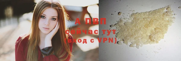сатива Богородицк