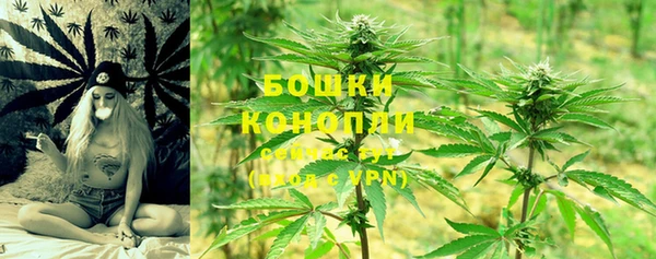 сатива Богородицк