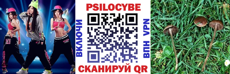 kraken зеркало  Кондопога  Псилоцибиновые грибы Psilocybe 